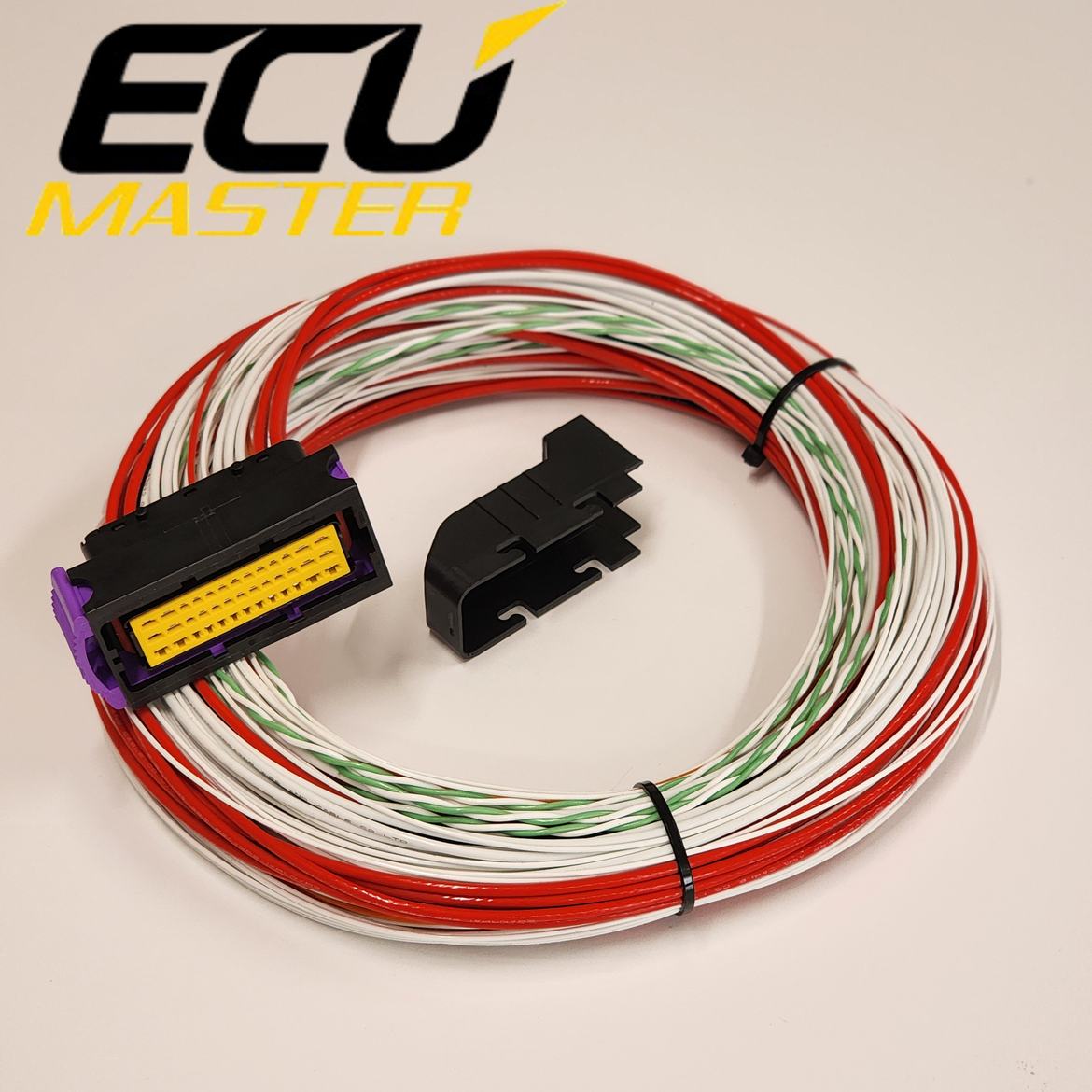 ECUmaster Motorsport Grade Wiring Harnesses – Hard Wired Motorsports