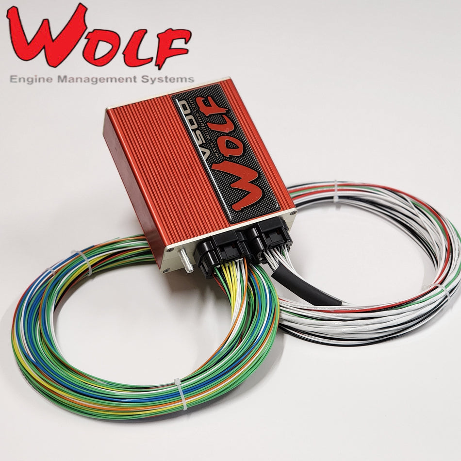 Wolf Motorsport Grade Wiring Harnesses