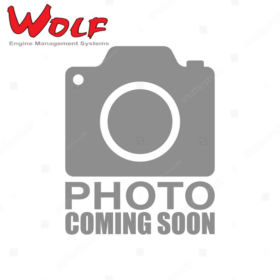 Wolf Motorsport Grade Wiring Harnesses