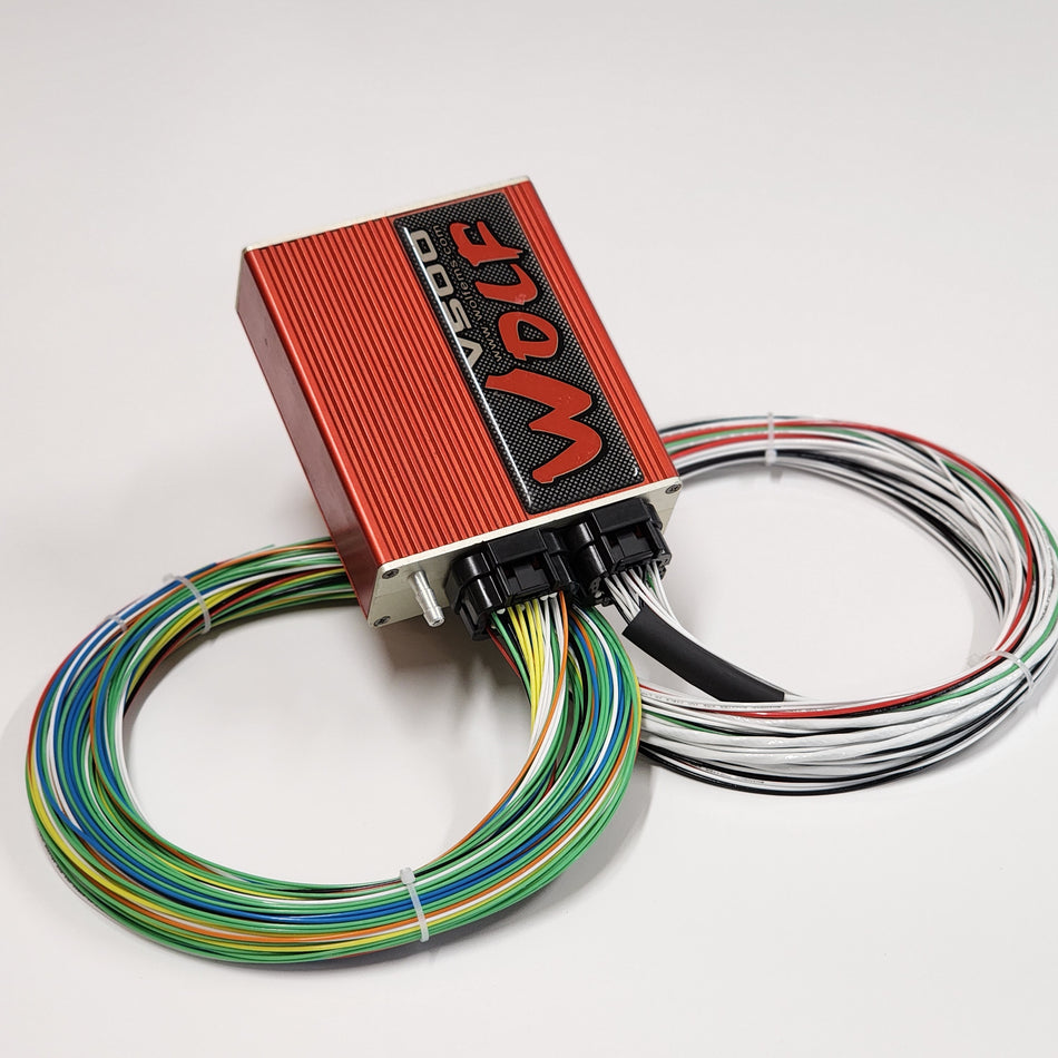 Wolf V500 Motorsport Wiring Loom