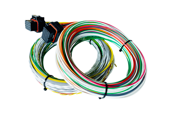 Hard Wired Motorsports Emtron Tefzel Loom photo