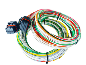 Hard Wired Motorsports Emtron Tefzel Loom photo