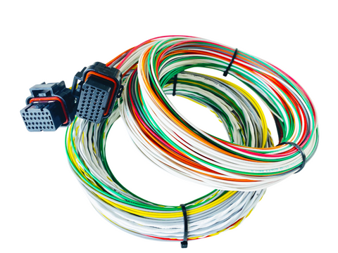 Hard Wired Motorsports Emtron Tefzel Loom photo