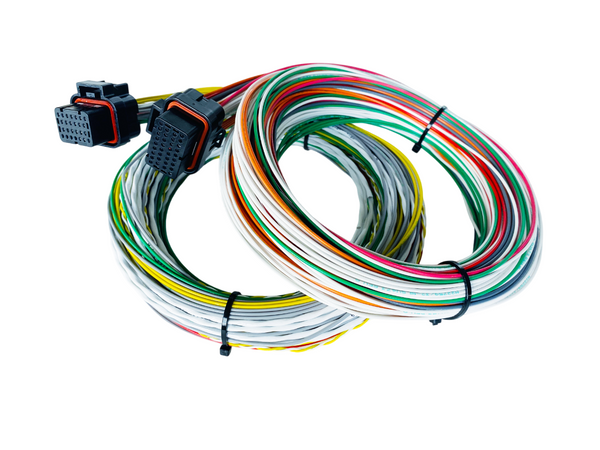 Hard Wired Motorsports Emtron Tefzel Loom photo