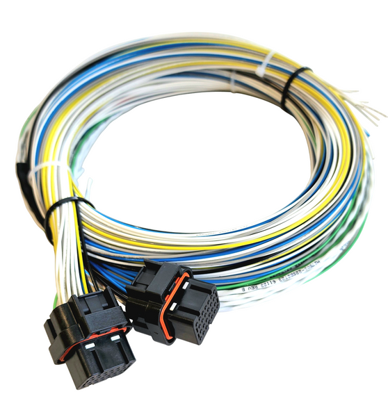 Hard Wired Motorsports FuelTech FT550 Tefzel Loom photo