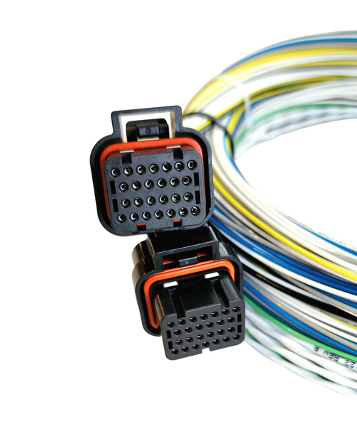 Hard Wired Motorsports FuelTech FT550 Tefzel Loom photo