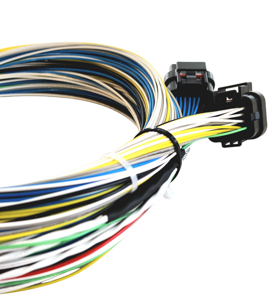 Hard Wired Motorsports FuelTech FT550 Tefzel Loom photo