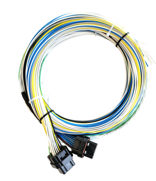 Hard Wired Motorsports FuelTech FT550 Tefzel Loom photo