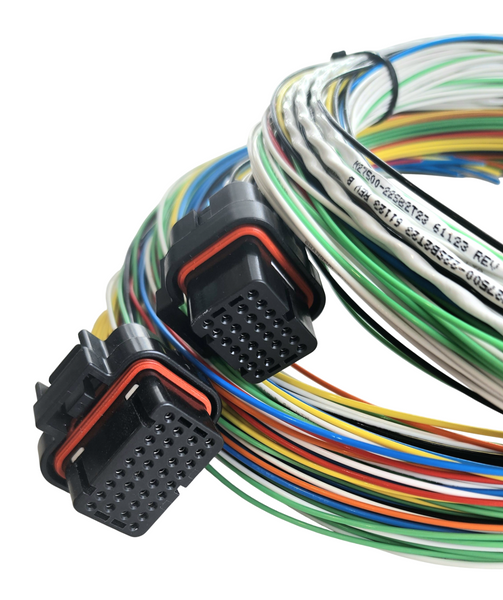 Hard Wired Motorsports Elite 2500 Haltech Tefzel Loom photo