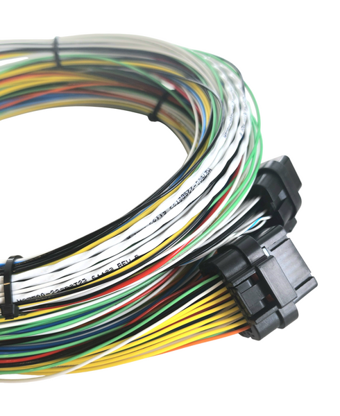 Hard Wired Motorsports Elite 2500 Haltech Tefzel Loom photo