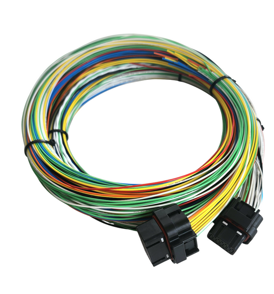 Hard Wired Motorsports Elite 2500 Haltech Tefzel Loom photo