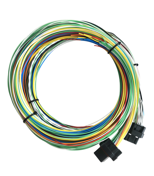 Hard Wired Motorsports Elite 2500 Haltech Tefzel Loom photo