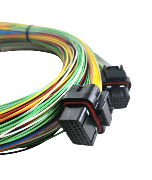 Hard Wired Motorsports Elite 2500 Haltech Tefzel Loom photo