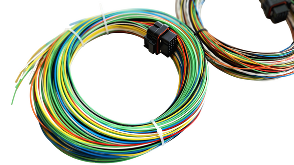Hard Wired Motorsports Elite 2500 Haltech Tefzel Loom photo