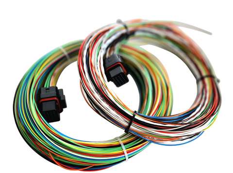 Hard Wired Motorsports Elite 2500 Haltech Tefzel Loom photo