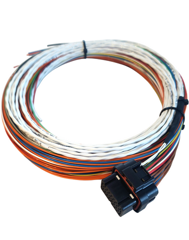 Hard Wired Motorsports Link G4 Tefzel Loom photo