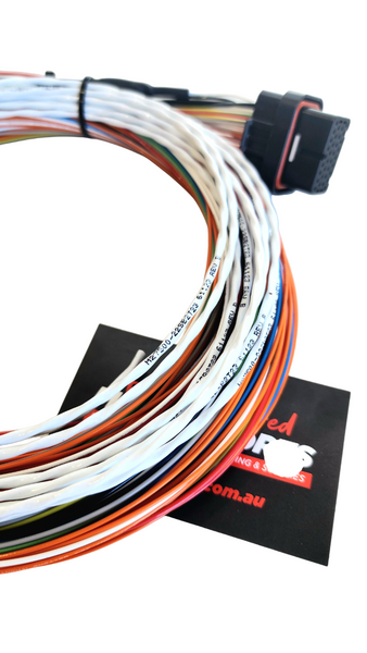 Hard Wired Motorsports Link G4 Tefzel Loom photo