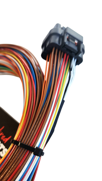 Hard Wired Motorsports Link G4 Tefzel Loom photo