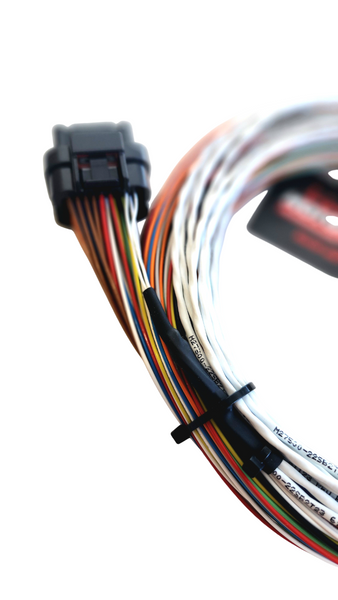 Hard Wired Motorsports Link G4 Tefzel Loom photo