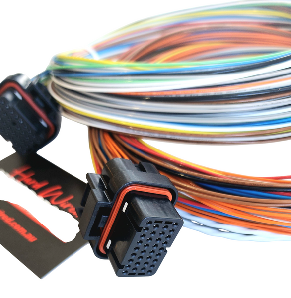 Hard Wired Motorsports Link Tefzel Loom photo