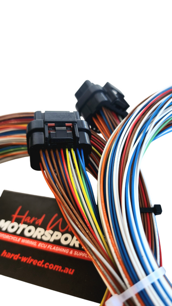 Hard Wired Motorsports Link Tefzel Loom photo