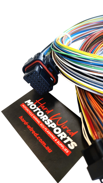 Hard Wired Motorsports Link Tefzel Loom photo