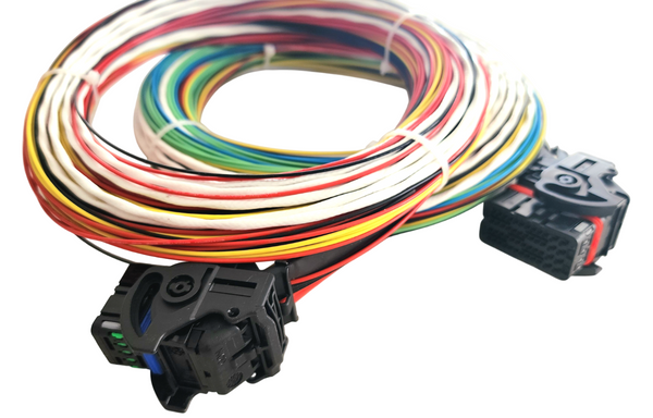 Hard Wired Motorsports MaxxECU Tefzel Loom photo