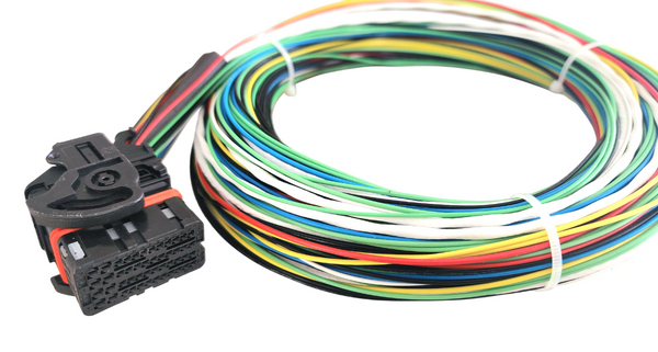Hard Wired Motorsports MaxxECU Tefzel Loom photo
