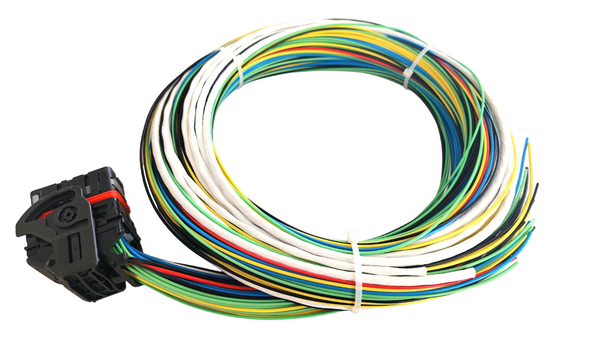 Hard Wired Motorsports MaxxECU Tefzel Loom photo