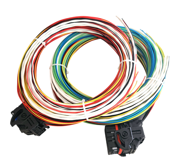 Hard Wired Motorsports MaxxECU Tefzel Loom photo