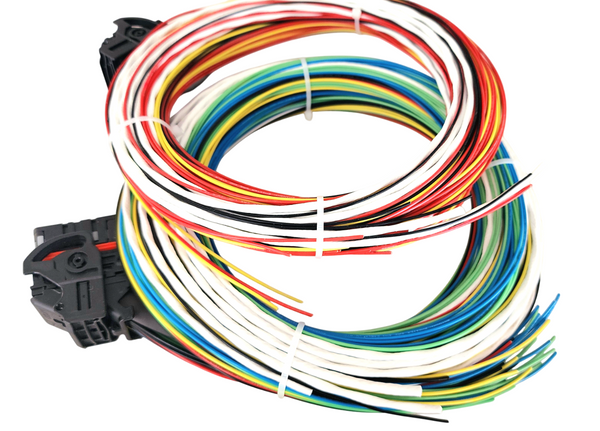 Hard Wired Motorsports MaxxECU Tefzel Loom photo