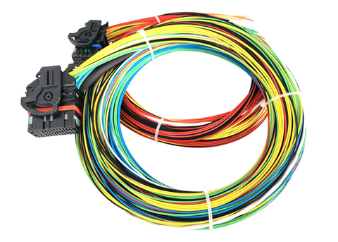 Hard Wired Motorsports MaxxECU Tefzel Loom photo