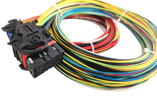 Hard Wired Motorsports MaxxECU Tefzel Loom photo