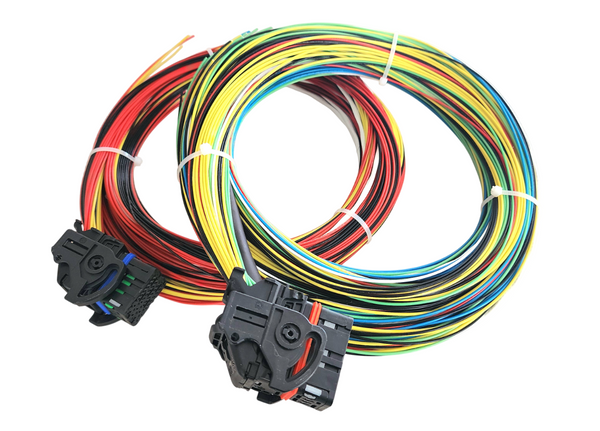 Hard Wired Motorsports MaxxECU Tefzel Loom photo
