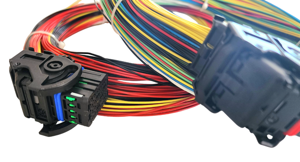 Hard Wired Motorsports MaxxECU Tefzel Loom photo