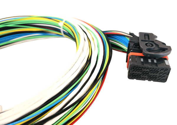 Hard Wired Motorsports MaxxECU Tefzel Loom photo