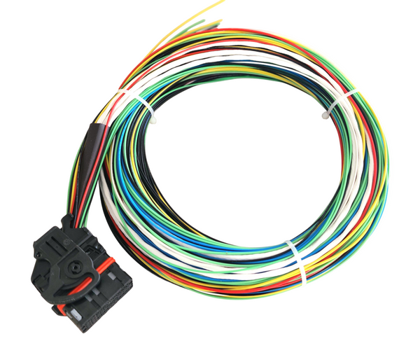 Hard Wired Motorsports MaxxECU Tefzel Loom photo