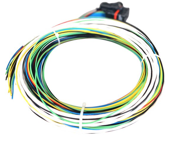 Hard Wired Motorsports MaxxECU Tefzel Loom photo