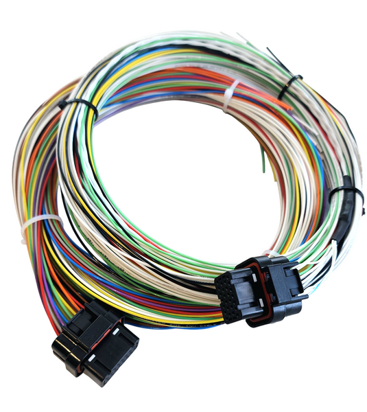 Hard Wired Motorsports Motec M130 Tefzel Loom photo
