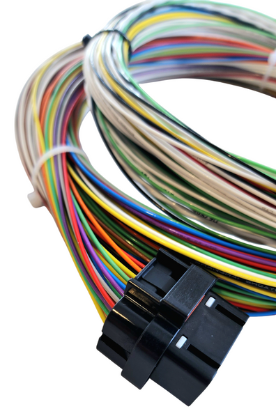 Hard Wired Motorsports Motec M130 Tefzel Loom photo