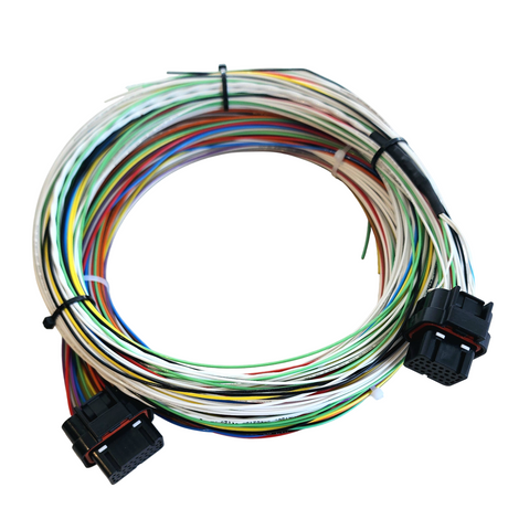 Hard Wired Motorsports Motec M130 Tefzel Loom photo