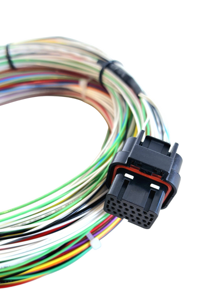 Hard Wired Motorsports Motec M130 Tefzel Loom photo