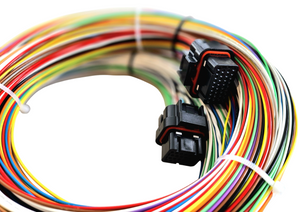Hard Wired Motorsports Motec M84 Tefzel Loom photo