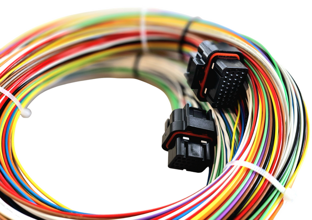 Hard Wired Motorsports Motec M84 Tefzel Loom photo