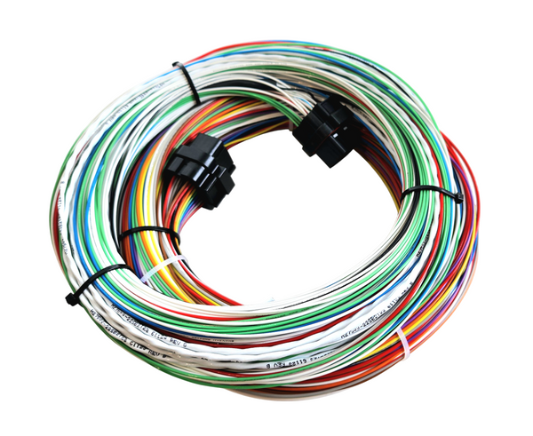 Hard Wired Motorsports Motec M84 Tefzel Loom photo