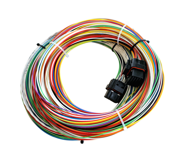 Hard Wired Motorsports Motec M84 Tefzel Loom photo