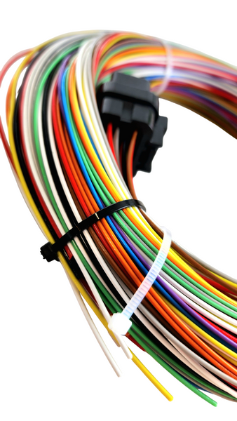 Hard Wired Motorsports Motec M84 Tefzel Loom photo