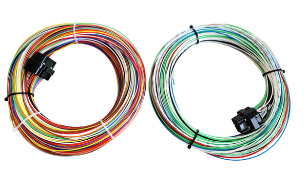 Hard Wired Motorsports Motec M84 Tefzel Loom photo