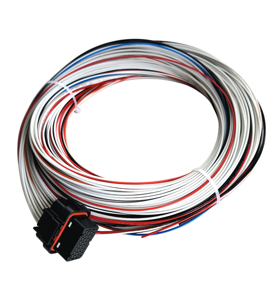 Hard Wired Motorsports PD16 Haltech Tefzel Loom photo