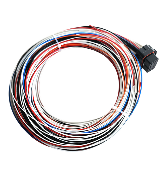 Hard Wired Motorsports PD16 Haltech Tefzel Loom photo
